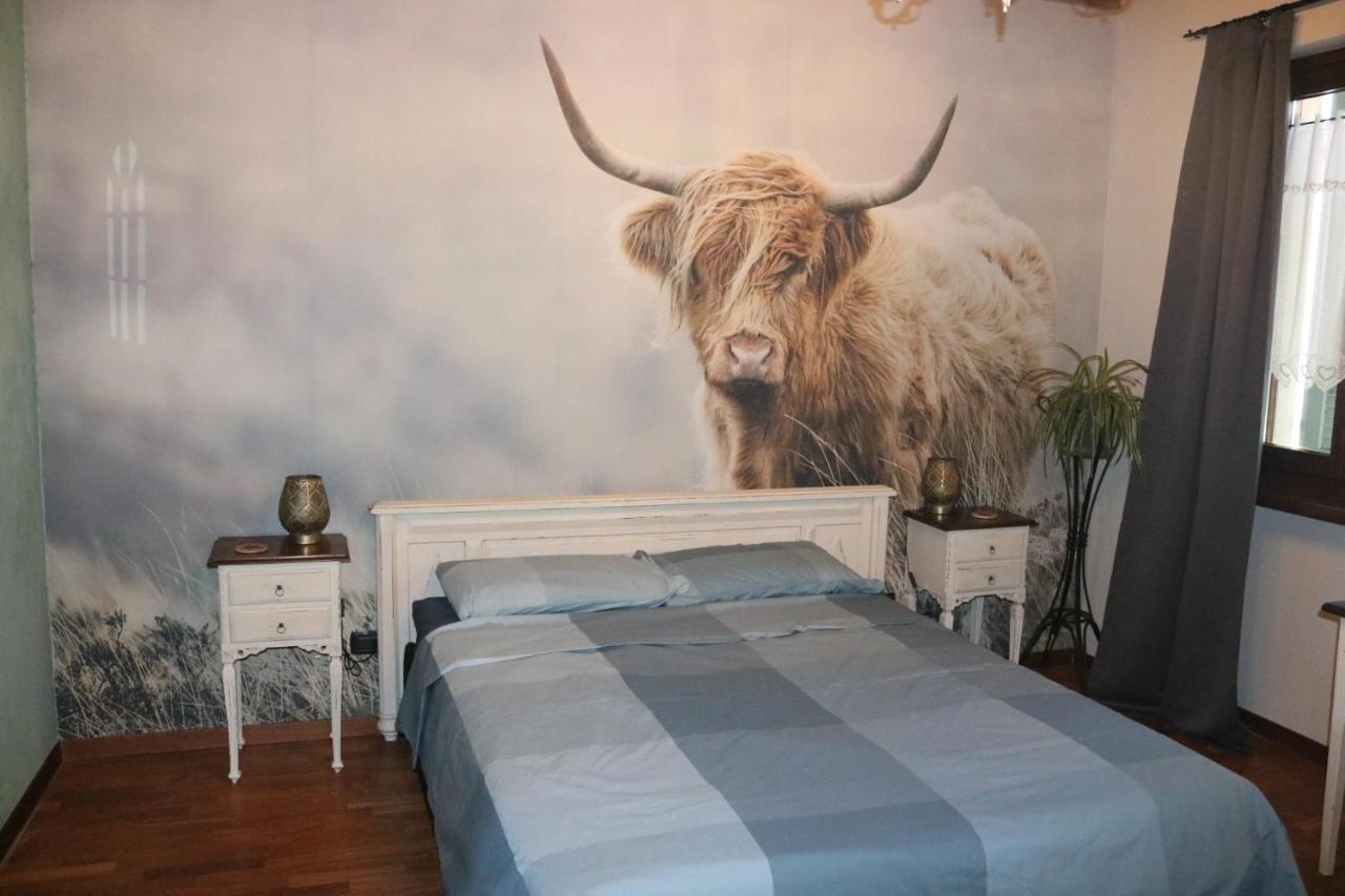 B&B Acquagrossa San Martino Buon Albergo Exterior photo